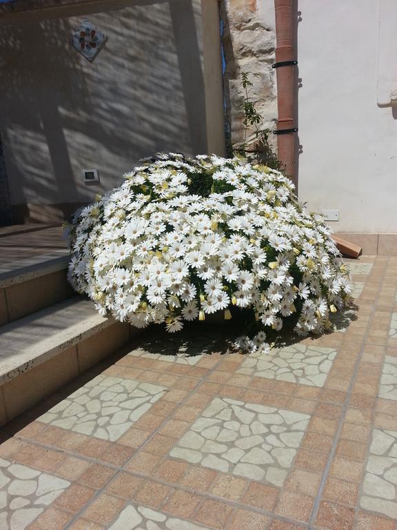 Lovely Cottage Castellammare del Golfo Exterior photo